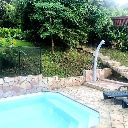 Saint-Joseph Studio Cosy Avec Piscine מראה חיצוני תמונה